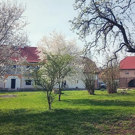 Vila Organica *