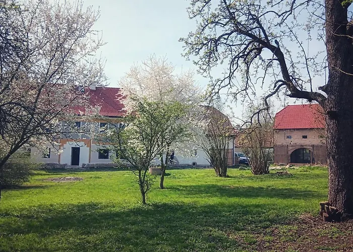 Вилла Organica *